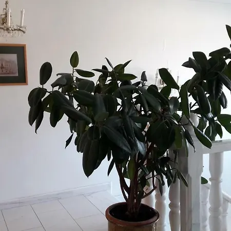 Leon's Silberwald Habitación en casa particular Strasshof an der Nordbahn