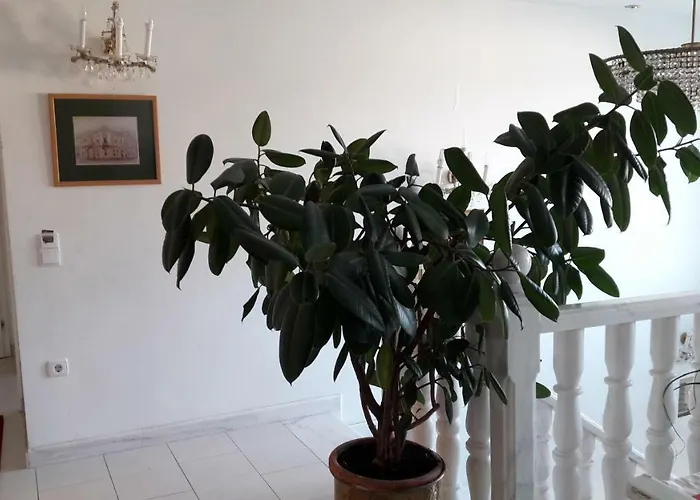 Leon's Silberwald Habitación en casa particular Strasshof an der Nordbahn